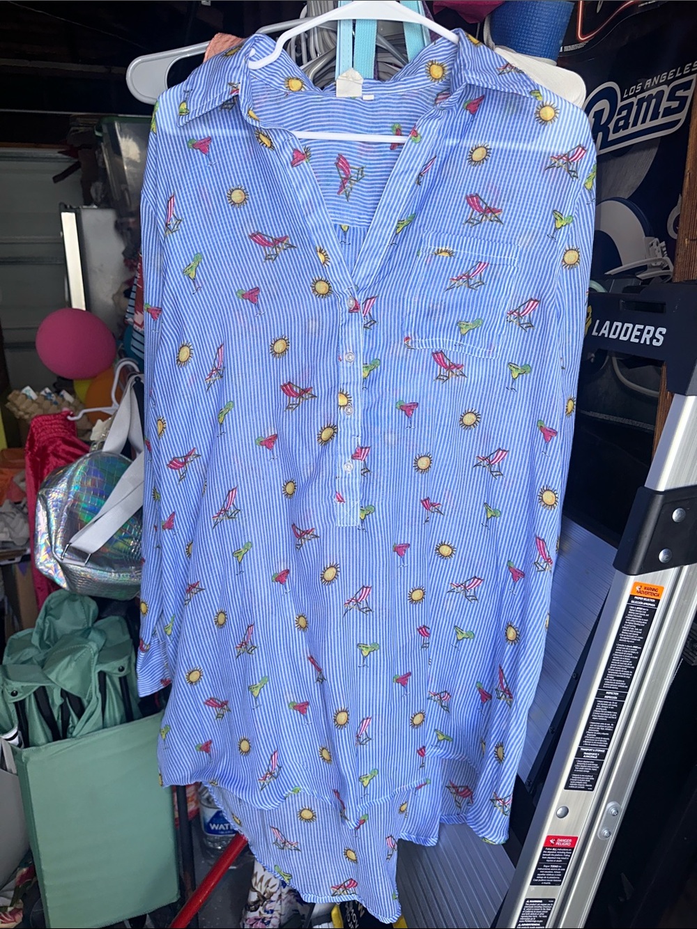 Blue Striped Button-Down Tunic with Sunny Bird Print